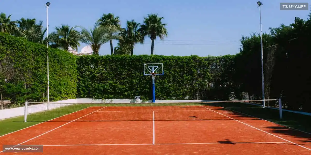 <strong>中欧体育</strong>🌟体育无界，你的热爱值得被看见！